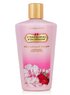 Victoria's Secrets Fantasies Strawberries & Champagne